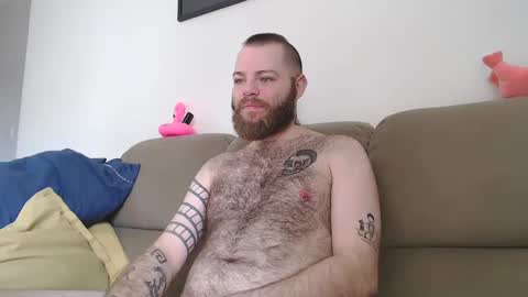 Snapshot of hornyhairy_bi chatting on February 21, 3:54 pm Harry online show from February 21, 3:54 pm