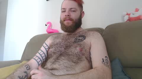 Snapshot of hornyhairy_bi chatting on December 9, 6:08 pm Harry online show from December 9, 6:08 pm