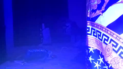 hotbear00 online show from February 9, 3:22 am