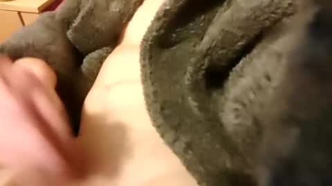 hotboy69735953 online show from January 17, 9:10 pm