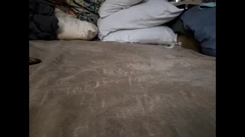 hotrox6942 online show from September 27, 10:02 am