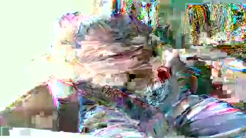 Hottop 1981 online show from April 19, 4:39 pm