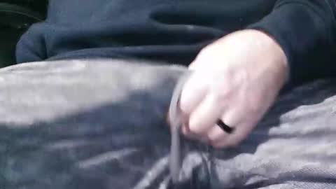 Madmedic online show from February 1, 7:29 am