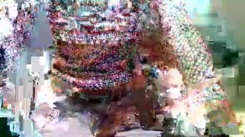 Keanu online show from January 11, 11:25 am