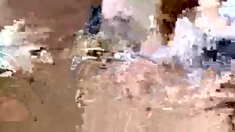 hungry4pussii online show from January 12, 5:39 pm