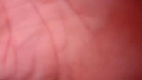 Snapshot of icyfucktoy chatting on December 5, 2:31 am icyfucktoy online show from December 5, 2:31 am