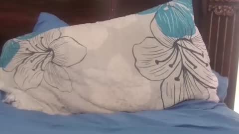 Hot Italian online show from March 14, 4:25 pm