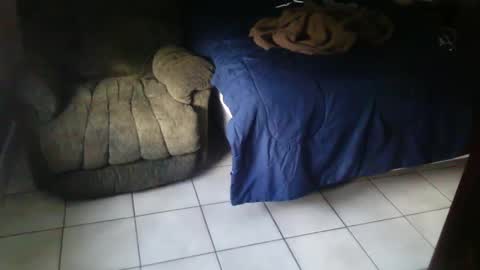 BearlyLoganFL online show from September 11, 12:15 pm