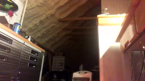 Snapshot of iwinnner chatting on January 28, 2:11 am That Guy online show from January 28, 2:11 am