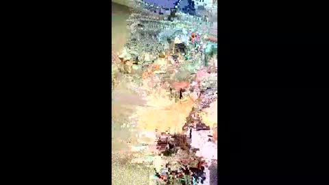 wonderbread online show from January 16, 3:31 am