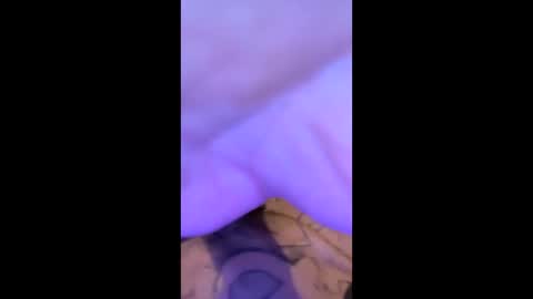 jackboydriver526327 online show from February 19, 3:36 am