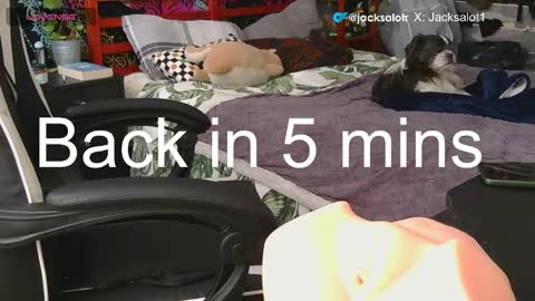 Jacksalot online show from January 9, 12:41 pm