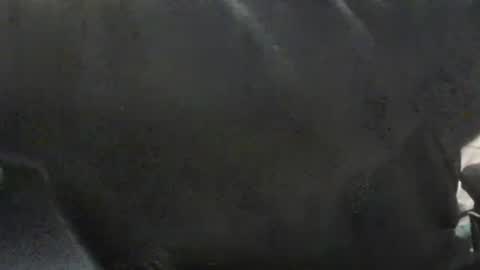 jacksonp41 online show from January 19, 1:44 pm