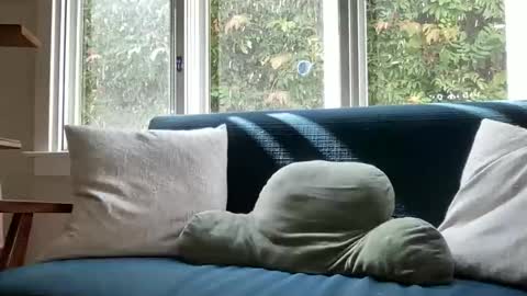 jack online show from October 13, 7:09 pm