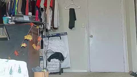 Bootyshows online show from October 1, 4:00 pm