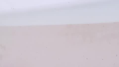 Bootyshows online show from March 22, 8:14 pm