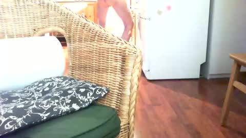 jani56 online show from May 1, 3:32 am
