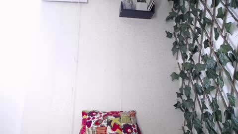 Snapshot of jasson_king01 chatting on January 13, 2:11 pm JKing  online show from January 13, 2:11 pm