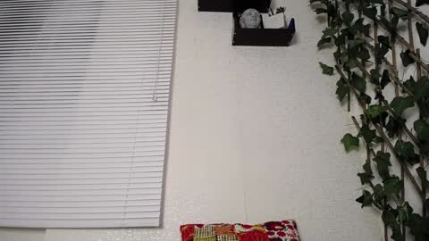 Snapshot of jasson_king01 chatting on January 15, 2:49 am JKing  online show from January 15, 2:49 am