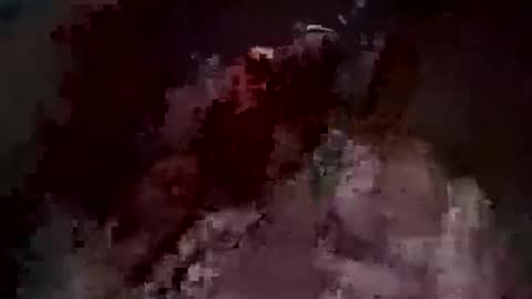 Jastryd online show from January 18, 12:18 pm