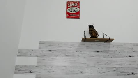 Jaycreedd online show from December 2, 10:59 pm