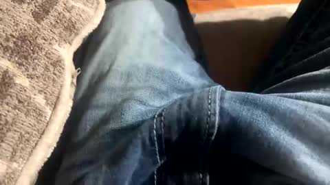 jbigblue online show from February 1, 1:59 am