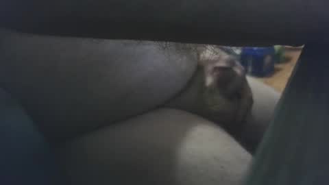 Snapshot of jdamon1131 chatting on October 6, 6:29 am jdamon1131 online show from October 6, 6:29 am