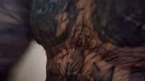 jdlicksgood online show from November 23, 12:27 pm