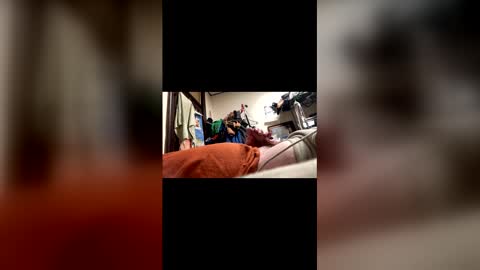 jdmas1220 online show from April 20, 5:54 am