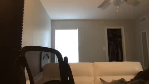 jeanwhitebianco online show from December 3, 8:48 pm