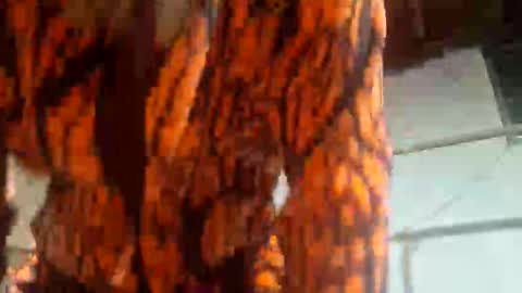 jeepcod87 online show from March 25, 7:34 am