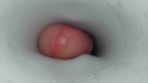 jeffrodgerschaturbat online show from January 17, 6:11 pm