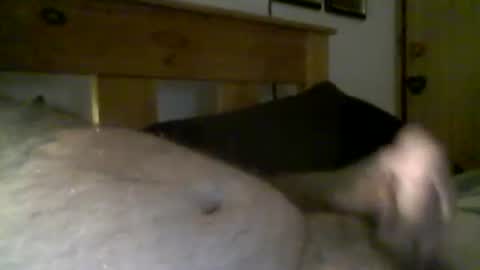 jerkmate6666 online show from March 16, 8:18 am