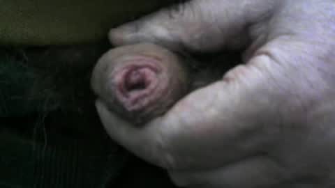 jerom111111111 online show from January 7, 12:37 pm