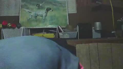 Dixon Cider online show from March 12, 7:13 am