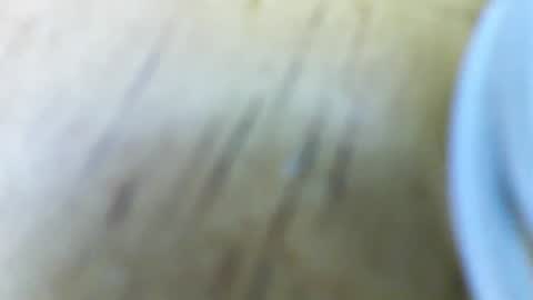 Dixon Cider online show from February 6, 5:57 am