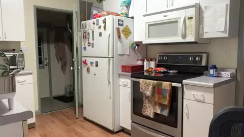 jessmo online show from December 5, 2:02 pm