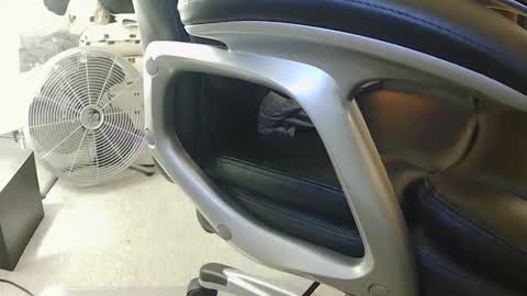 jherm485334 online show from January 24, 10:51 pm