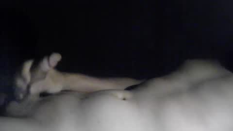 jhon84802 online show from February 20, 2:19 am