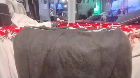 jibit75 online show from November 20, 11:53 am