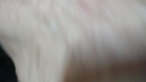 Snapshot of jimbeefbear chatting on December 28, 5:57 pm Jim online show from December 28, 5:57 pm