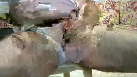 jimii281 online show from September 16, 5:03 pm