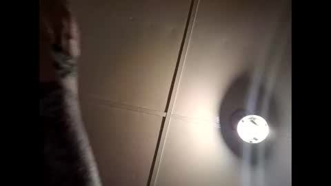 Master online show from February 26, 3:30 am