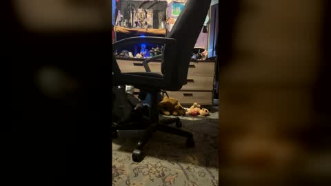 johnnyshung1 online show from March 9, 1:05 pm