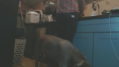 johnplayer23 online show from February 1, 8:29 am