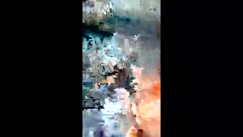 jondillinga13754352 online show from May 19, 12:33 pm