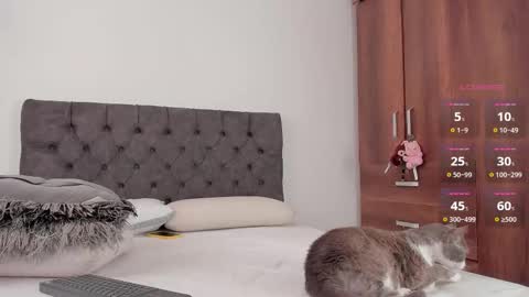 Will online show from February 20, 7:48 pm