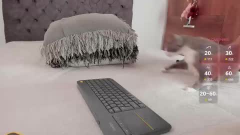 Will online show from March 27, 1:01 pm