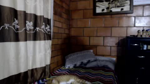 joseph online show from November 10, 3:44 am