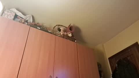 juanka85564456 online show from January 20, 9:43 pm